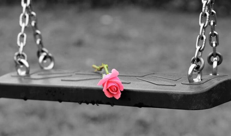 a pink flower on a swing set everything but the flower and stem are black and white